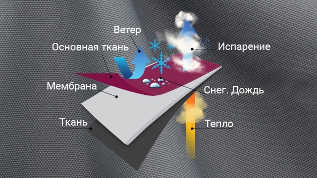 Мембрана в ткани — её функции и основные характеристики Мембрана в ткани — её функции и основные характеристики